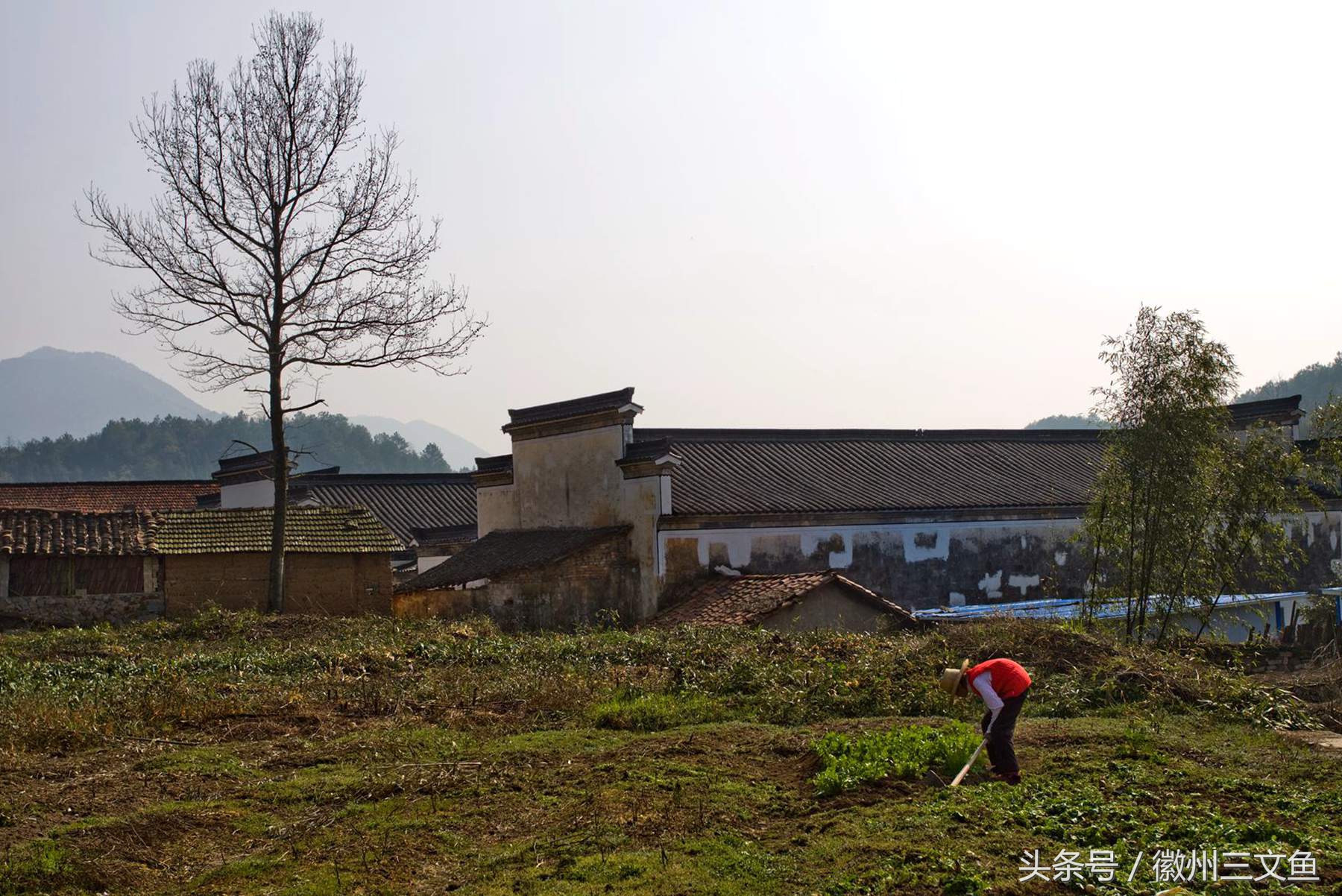 大江大河泾县黄田,泾县黄田洋船屋雪景