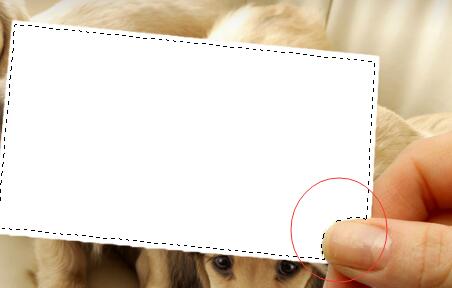 用蒙版和画笔打造人物半素描效果,滤镜让色彩画变好看