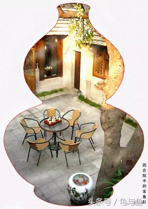 古法养鱼能养锦鲤吗,古法养鱼全过程视频