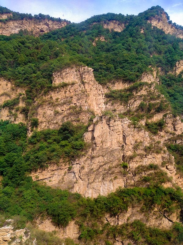 上方山森林动物世界游记,上方山动物园游记四年级
