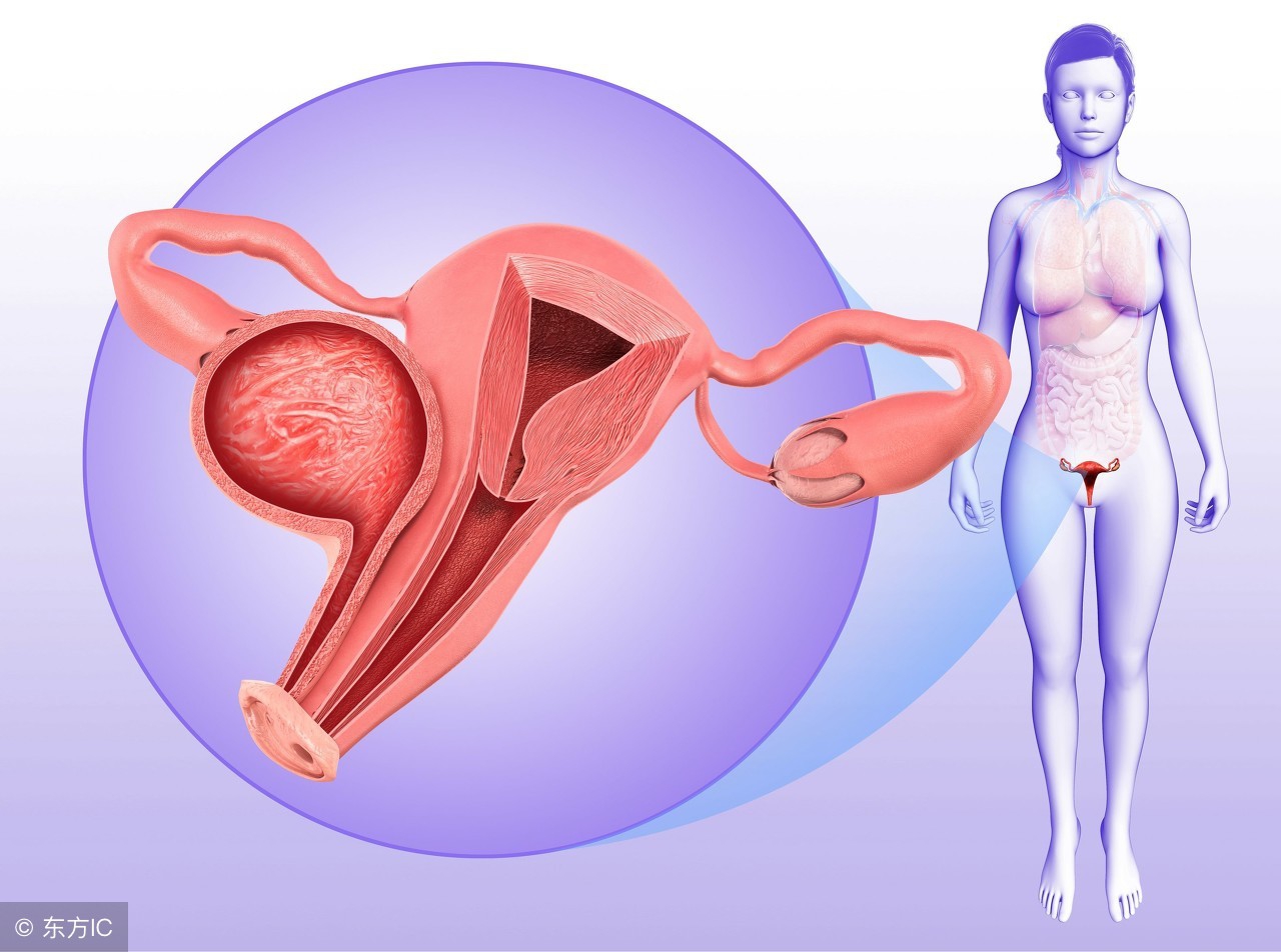 女性没有白带意味着健康干净吗,女性白带自我观察