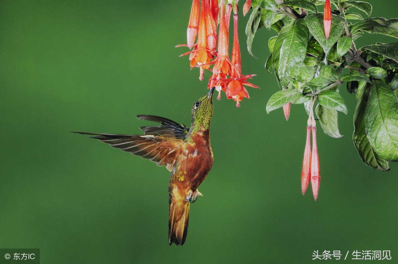 单位混得好的人都懂得这7条规则,要想混得好一定要懂人情世故