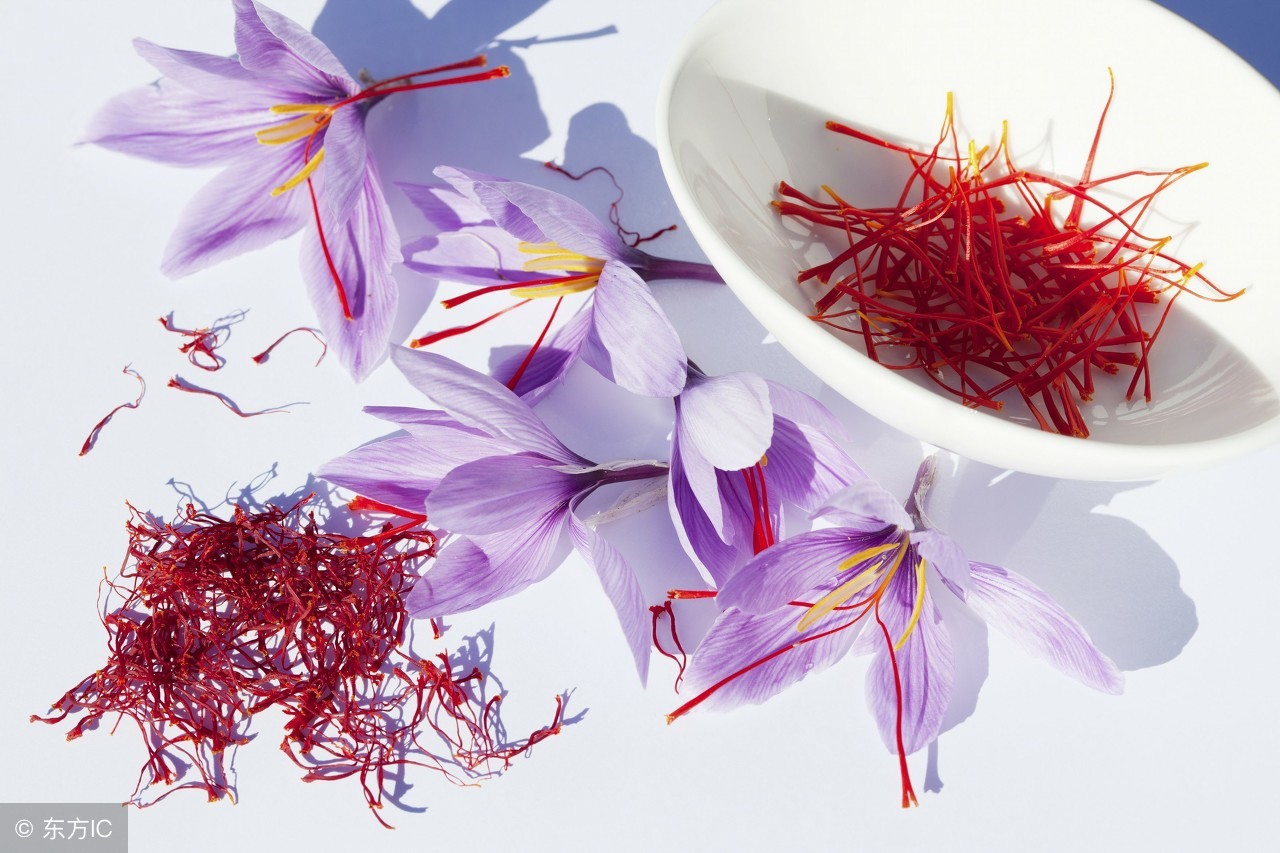 红花品种鉴别方法,怎么辨别伊朗藏红花真伪