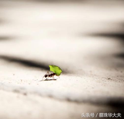 女子就医遭医生性侵，就医时需要注意些什么？