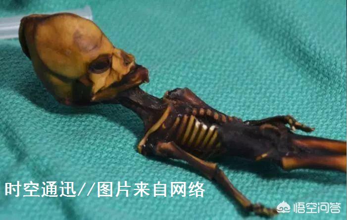 ufo真的存在吗长什么样子,ufo真的存在吗专家解释