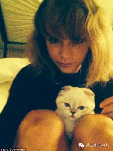 霉霉和她的猫咪,霉霉两只猫叫什么名字