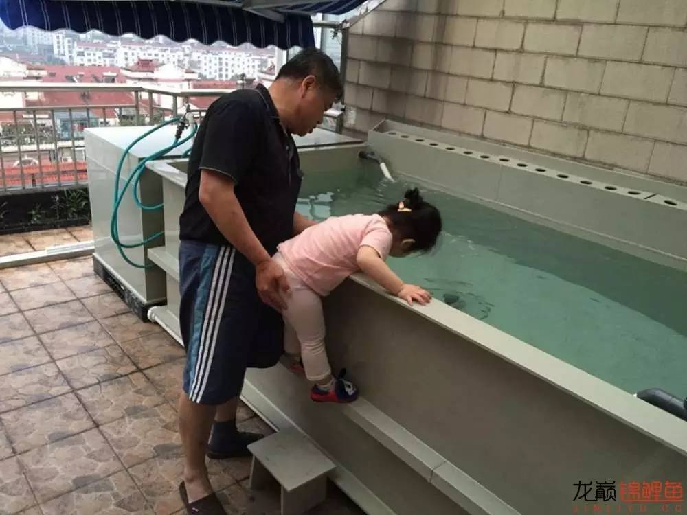 大型pp塑料锦鲤池,超大pp塑料锦鲤池