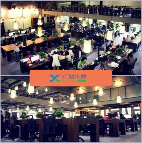 鏅烘収鍥尯鍒涙柊,鏅烘収鍥尯鐨勬櫤鎱т綋鐜板湪鍝噷