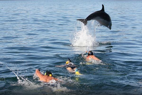 别忽视最好又最简单的运动,实用又有效的运动