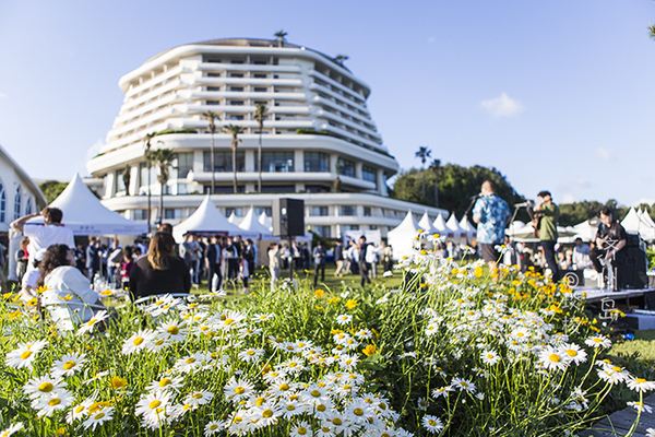 韩国济州岛最好吃的糕点美食,济州岛马肉