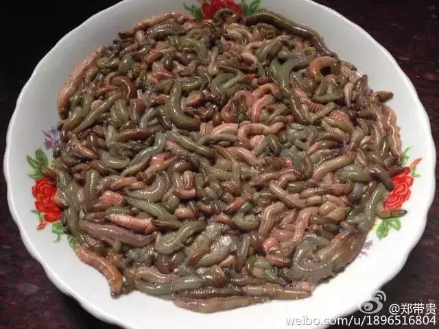 真正的福建美食,福建十大恶心料理
