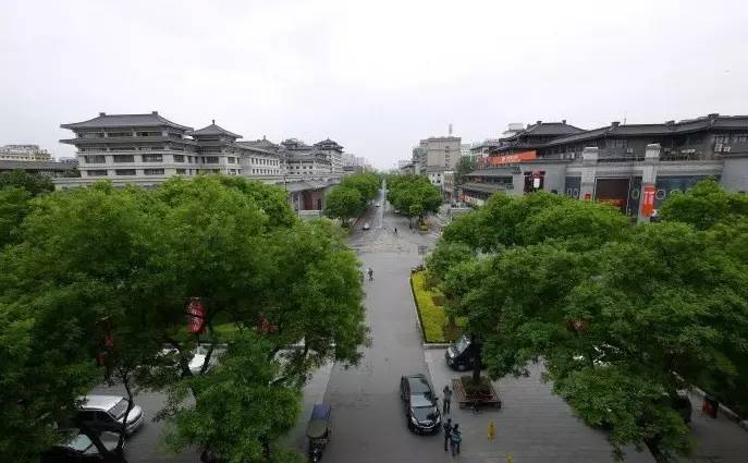 虽有不舍但终究一别只为更好,虽有不舍但仍要离别