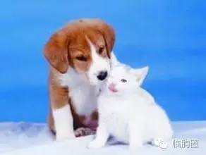 临朐话真地道,说几个方言证明你是临朐人