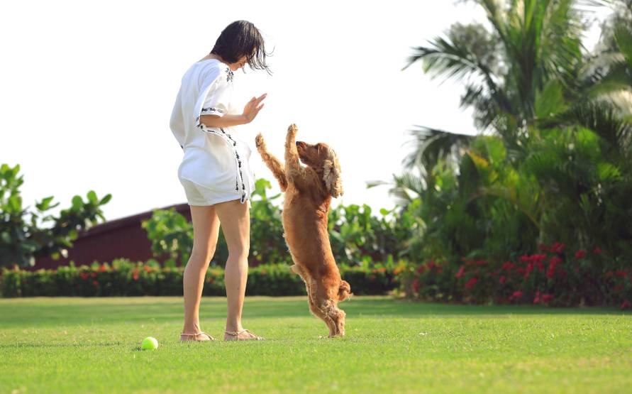 亚龙湾美高梅蜜月,海棠湾红树林和亚龙湾美高梅