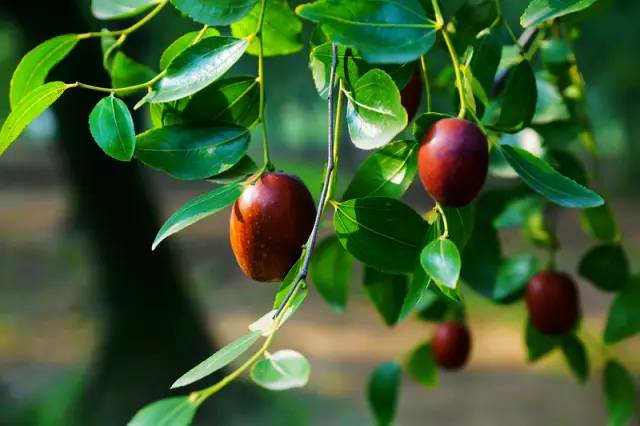 西安还藏着那么多文艺咖啡店你去过么？