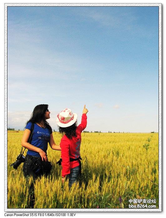 梦里花开——*疆新**，又一次的心动