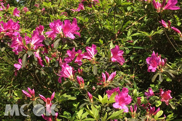 假期旅游攻略二人附近一日游,假期旅游攻略推荐2-3天附近一日游