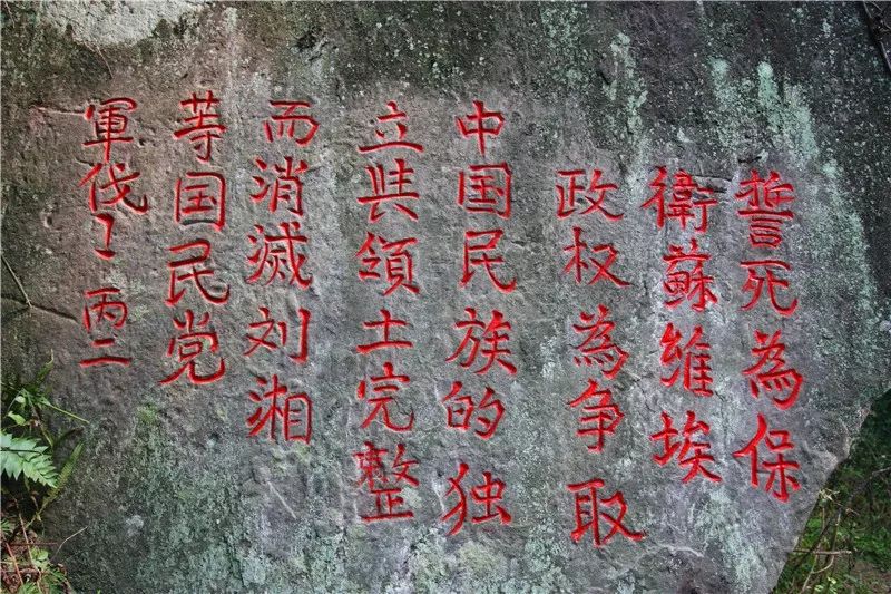 大开眼界和开阔视野,通江最新变化