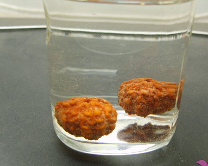 大金刚怎么才是包浆 (尼泊尔红皮大金刚怎么盘)