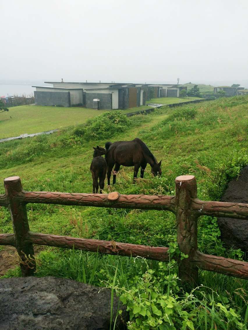 一起来思密达！大佣网的韩城攻略