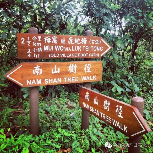 旅行自拍文艺范,假期旅游小清新治愈系