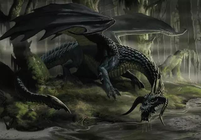 西方龙冷知识,西方龙讲空气动力学