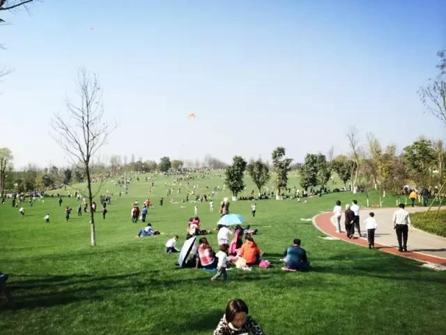 大写重庆,大写的重庆