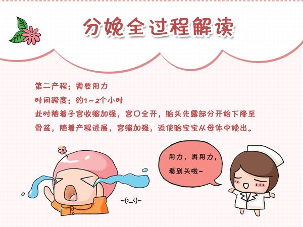 女人分娩全过程和注意事项，母爱真是太伟大了！