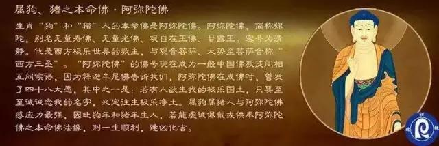 求观音菩萨保佑女儿高三顺利,祈求高考成功的观音菩萨