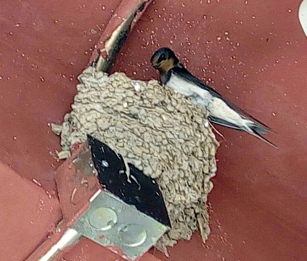 长假远行,假期小旅行