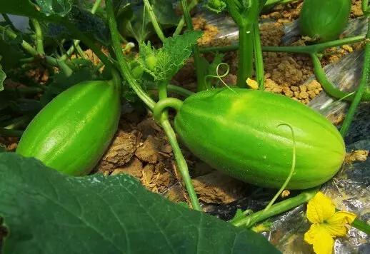 济南哪个区比较适合居住,在济南在哪个地方住玩比较方便