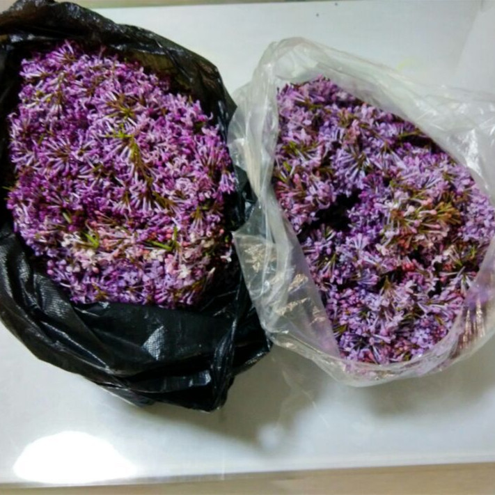 丁香花纯露作用与功效,丁香花纯露怎么做
