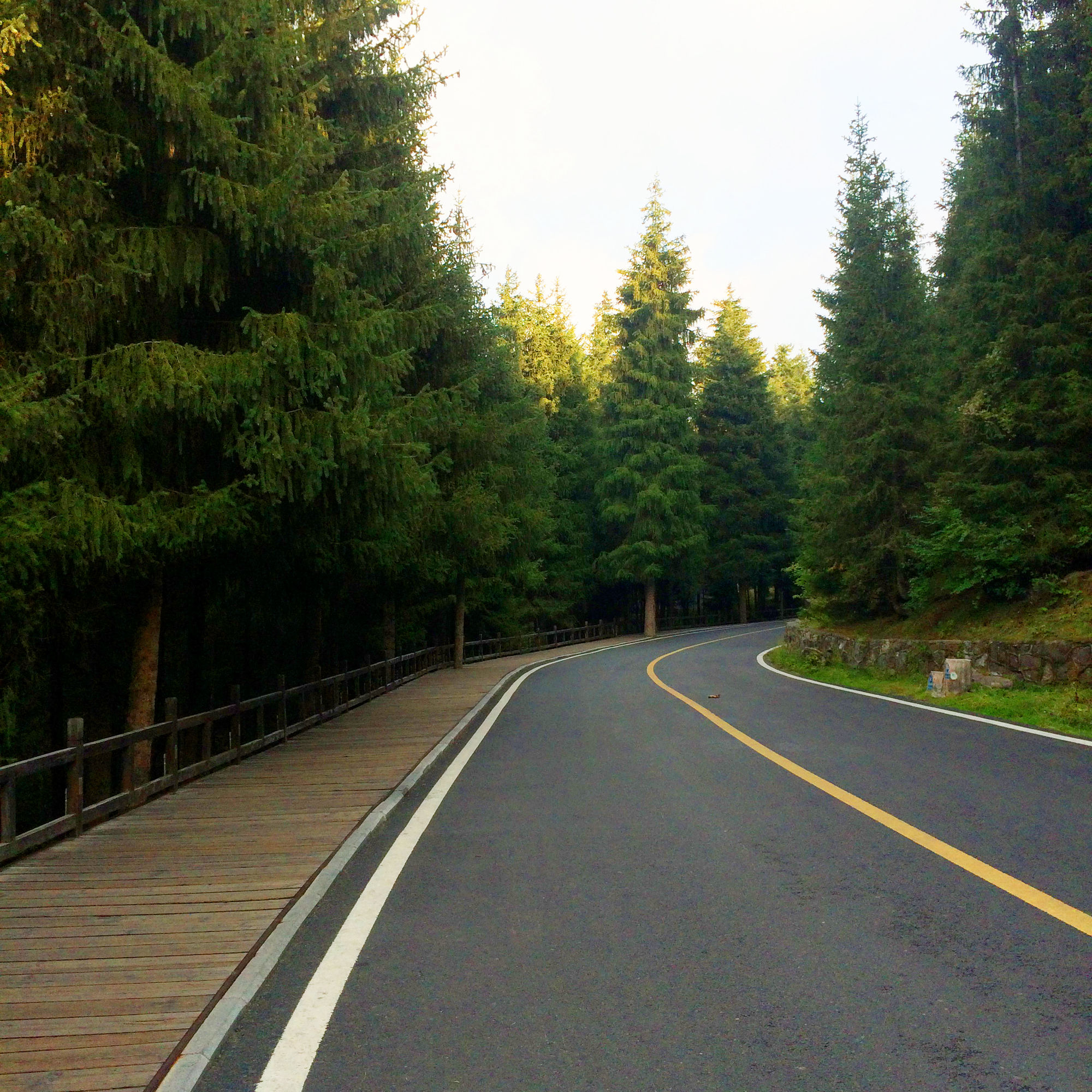 新疆伊犁14天旅行攻略,8天伊犁之旅