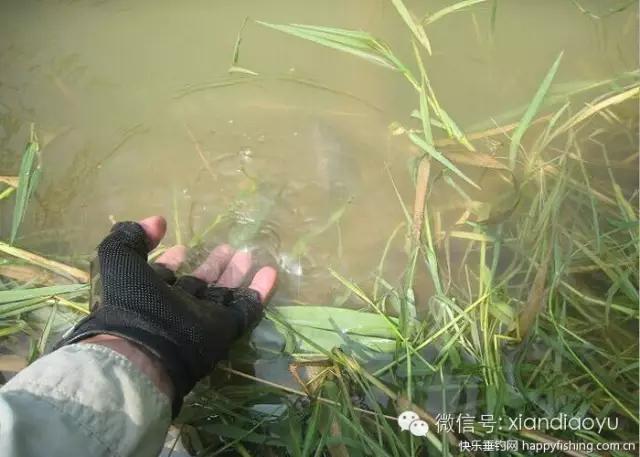 西安灞河钓鱼钓点,灞河路亚白条的钓点