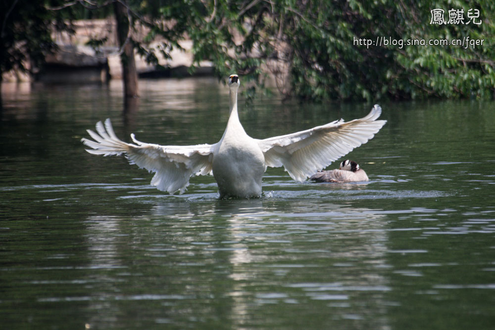 ​[凤麒儿]北京动物园——与动物的亲密接触