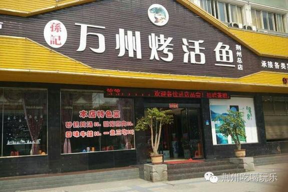 湖北荆州海洋世界美人鱼,十大绝美美人鱼