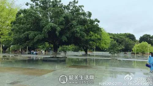 乐昌重视体育的学校,广东韶关乐昌中学