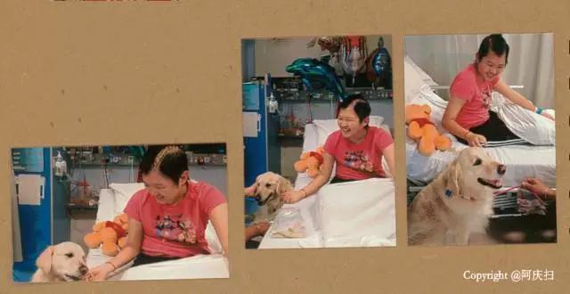 澳洲十大最好医院,澳洲顶级医院