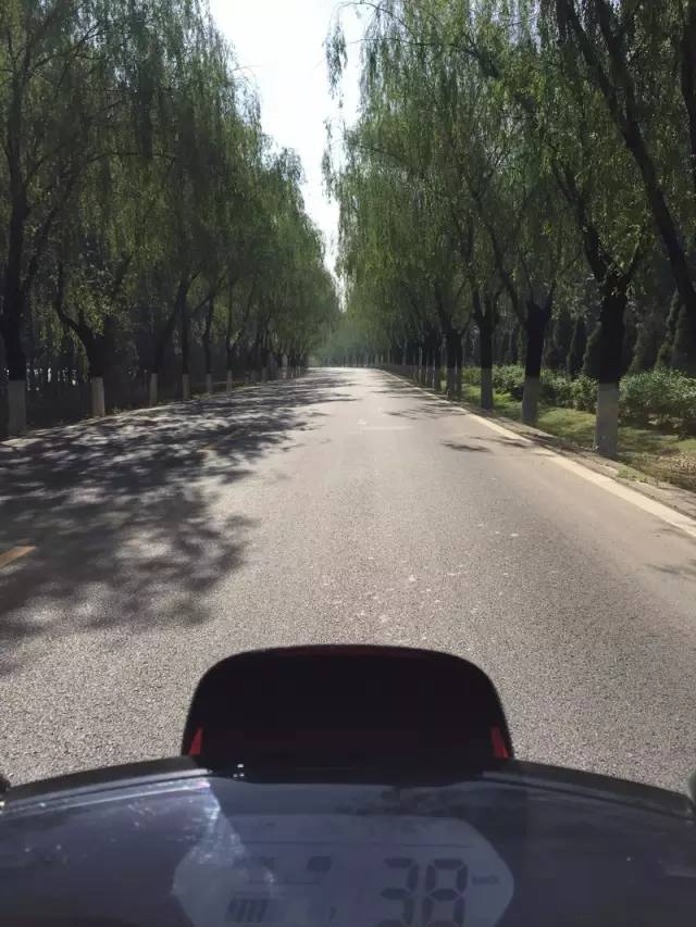 小牛电动车m1四种版本区别,小牛电动车m1都市版和动力版区别