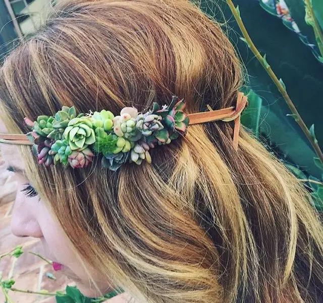 ins多肉,外国大神多肉