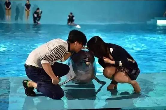 合肥发生了什么新闻,合肥最近发生过什么新闻