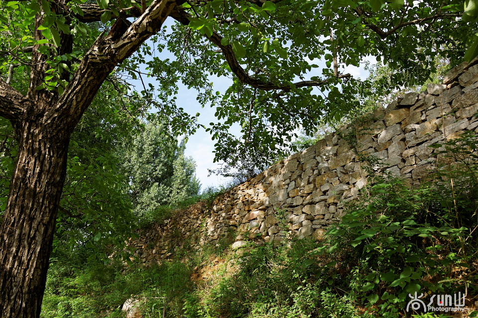 济南泉水豆腐配方,济南特色美食泉水豆腐