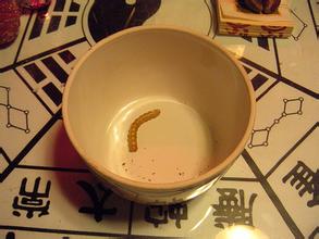 古代最邪恶的“苗疆八大巫蛊术”，这个皇帝就是因他家破国亡