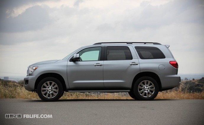 被遗忘的巨兽,被遗忘的远古巨兽