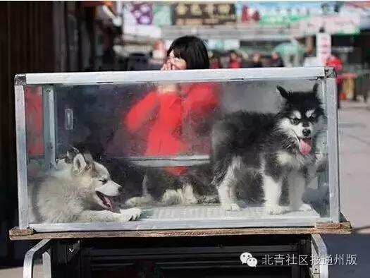 走进文化济宁,走进文化景区