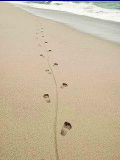 每日一笑——不管发生了什么，我们是进过同一个坑道的战友