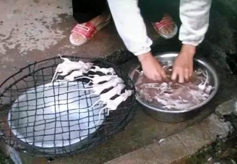 这些“恶心”的福建美味!恐怕顶级的福建吃货也难以吃到了……