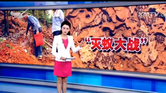 厦门“人蚁大战”！汀溪水库掘地三尺生擒食指粗的白蚁蚁后，这场面简直