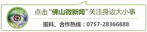 广东佛山小学生证件照,佛山学生证件照