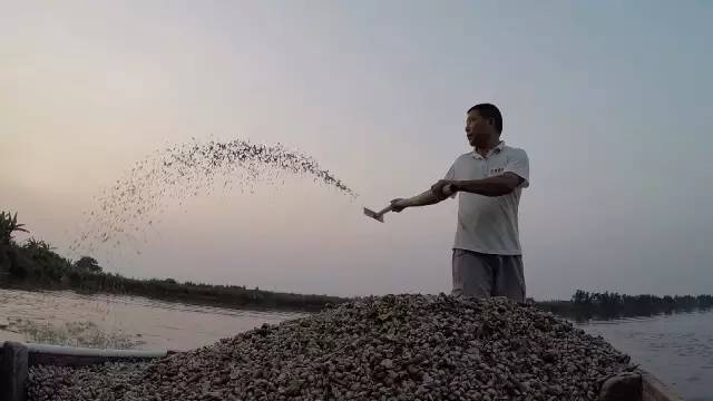 广东卫视出品的纪录片好评不断,再获三个国家级嘉奖!